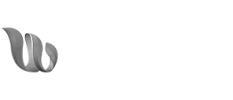 wellness-town